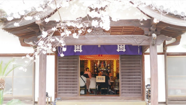 桜が咲くお寺で開催された春の演奏会。歌手の歌声に耳を傾ける観客の様子。
